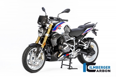 Carbon Ilmberger Bremsleitungsabdeckung BMW R 1250 R