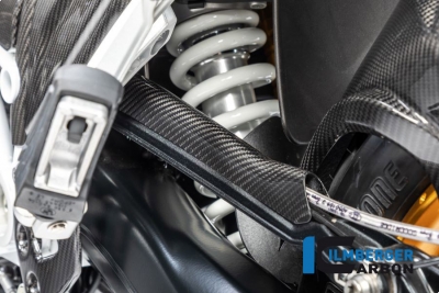 Carbon Ilmberger Bremsleitungsabdeckung BMW R 1250 R