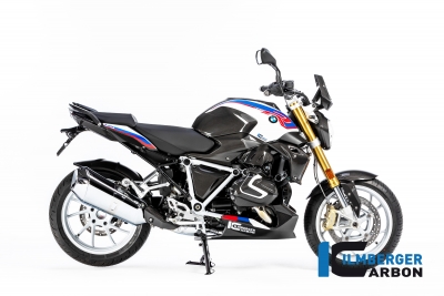 Carbon Ilmberger Bremsleitungsabdeckung BMW R 1250 R