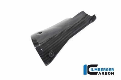 Carbon Ilmberger exhaust heat shield BMW R 1250 R