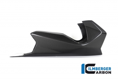 Carbon Ilmberger Motorspoiler BMW R 1250 R