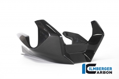 Carbon Ilmberger engine spoiler BMW R 1250 R