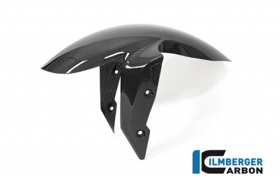 Carbon Ilmberger front fender BMW R 1250 R