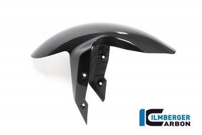 Carbon Ilmberger front fender BMW R 1250 R