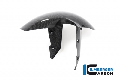 Carbon Ilmberger front fender BMW R 1250 R