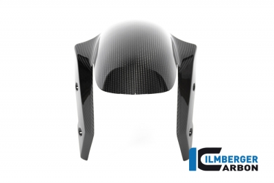 Carbon Ilmberger front fender BMW R 1250 R