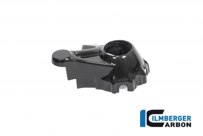 Carbon Ilmberger cardan housing cover BMW R 1250 R