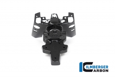 Carbon Ilmberger license plate holder 2-piece BMW R 1250 R