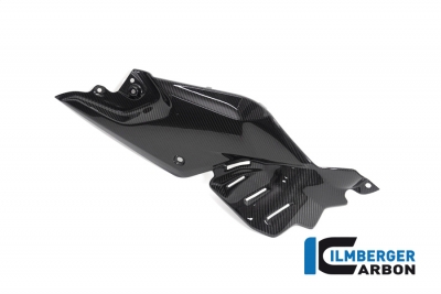 Carbon Ilmberger Seitendeckel unterm Tank Set BMW R 1250 R