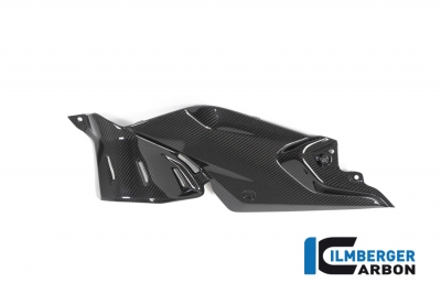 Carbon Ilmberger Seitendeckel unterm Tank Set BMW R 1250 R