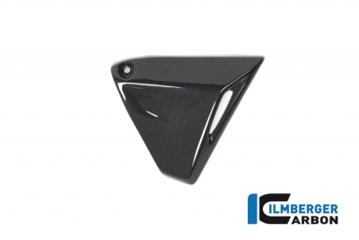 Carbon Ilmberger Cadre Triangle Cover Set BMW R 1250 R