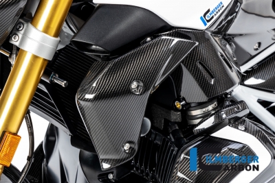 Carbon Ilmberger waterkoeler kuip set BMW R 1250 R