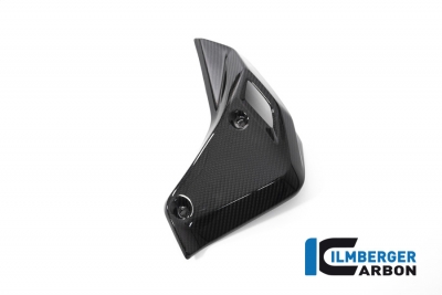 Carbon Ilmberger Wasserkhlerverkleidungen Set BMW R 1250 R