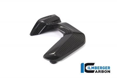 Carbon Ilmberger Jeu de cache-bougies BMW R 1250 R