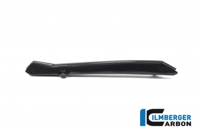 Cubre latiguillo de freno Ilmberger carbono BMW R 1250 RS