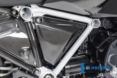 Carbon Ilmberger Ram triangelskydd set BMW R 1250 RS