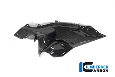 Carbon Ilmberger Seitendeckel unterm Tank Set BMW R 1250 RS