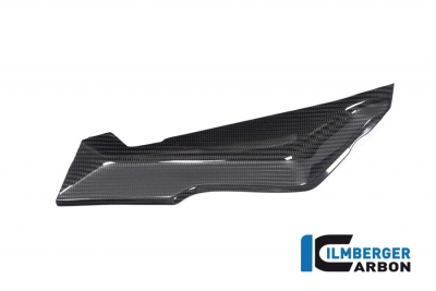 Carbon Ilmberger Verkleidungsoberteil Set BMW R 1250 RS