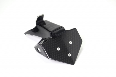 Carbon Ilmberger license plate holder Ducati Streetfighter V4
