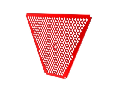 Ducabike Oil radiator grille Ducati Panigale V4 R