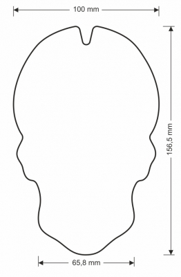 Tankpad Puig Skull