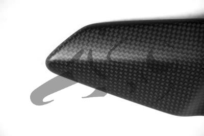 Carbon Ilmberger heel guard right Ducati Monster 1200 S