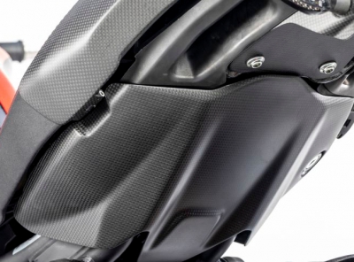 Carbon Ilmberger frame rear cover below Ducati Monster 1200 S