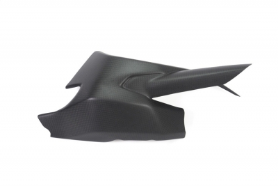 Carbon Ilmberger swingarm protector Ducati Monster 1200 S