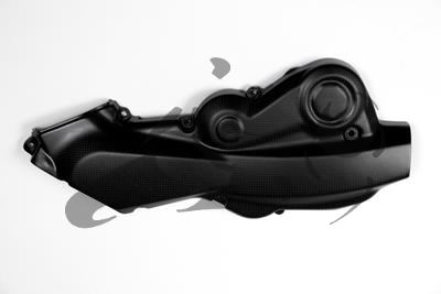 Carbon Ilmberger tandriemafdekking horizontaal Ducati Monster 1200 S
