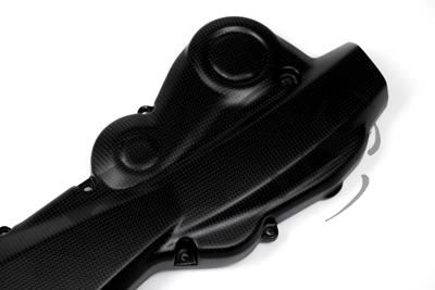 Carbon Ilmberger tandriemafdekking horizontaal Ducati Monster 1200 S