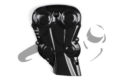 Carbon Ilmberger distributieriemkap verticaal Ducati Monster 1200 S