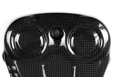 Carbon Ilmberger distributieriemkap verticaal Ducati Monster 1200 S