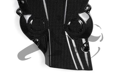 Carbon Ilmberger distributieriemkap verticaal Ducati Monster 1200 S