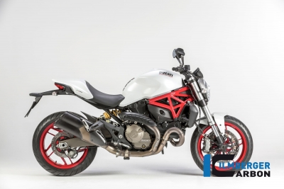 Carbon Ilmberger framhjulsskydd Ducati Monster 821