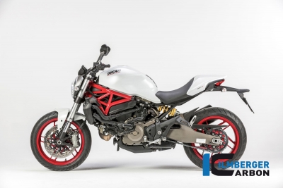 cache-courroie dente en carbone Ilmberger horizontal Ducati Monster 821