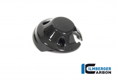 Carbon Ilmberger Armaturenabdeckung Ducati Scrambler 1100 Special