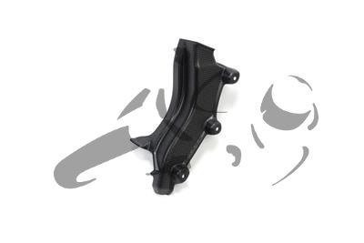Carbon Ilmberger wiring harness cover Ducati XDiavel