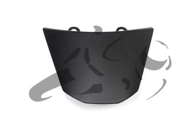 Carbon Ilmberger pillion cover Ducati XDiavel