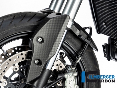 Carbon Ilmberger Vorderradabdeckung hinteres Teil Ducati Hypermotard 939 SP