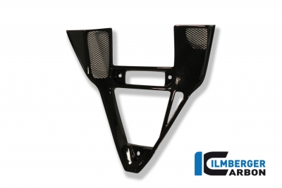 Carbon Ilmberger Verkleidungseinsatz Ducati 749/999