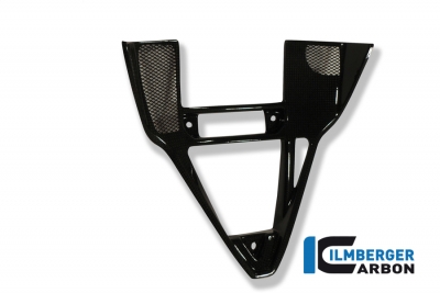 Carbon Ilmberger Verkleidungseinsatz Ducati 749/999