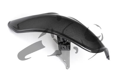 Carbon Ilmberger rear fender BMW R 1200 R