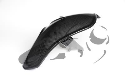 Carbon Ilmberger rear fender BMW R 1200 R