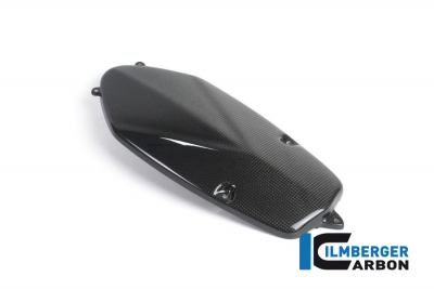 Carbon Ilmberger Lichtmaschinendeckel BMW HP2 Megamoto