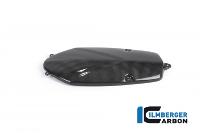 Carbon Ilmberger Lichtmaschinendeckel BMW HP2 Megamoto