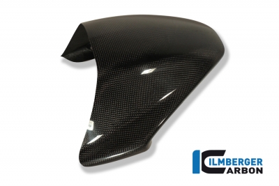 Carbon Ilmberger Passagerarstesverdrag Ducati Monster S2R