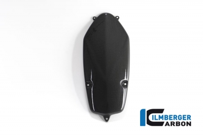 Carbon Ilmberger alternator cover BMW R 1200 S