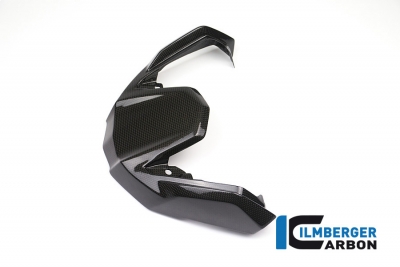 Carbon Ilmberger beak extension front BMW R 1200 GS