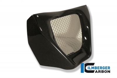 Carbon Ilmberger �lk�hlerabdeckung MV Agusta Brutale 750