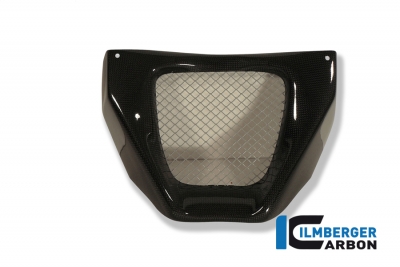 Carbon Ilmberger �lk�hlerabdeckung MV Agusta Brutale 750